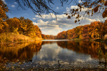 Осень у лесного озера / Осень 2021