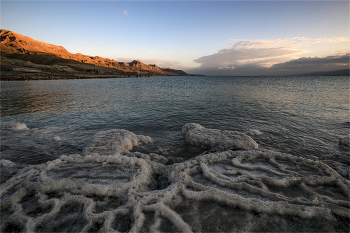 &quot;Осьминоги&quot; / Мертвое море,Израиль