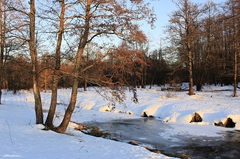 Стояли три подружки.... / ***