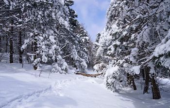 Этот март-чародей / Крым, Северный Демирджи, перевал Фуна 18.03.2022
