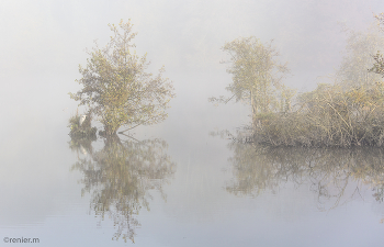&nbsp; / nebel am wehradelta, suche den Reiher