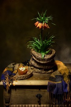 Рябчик... / Рябчик...