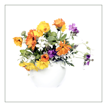 &nbsp; / Натюрморт