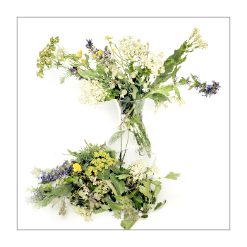 &nbsp; / Натюрморт