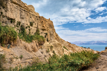 Оазис в пустыне / Ущелье (Wadi David) в заповеднике Эйн-Геди на берегу Мертвого моря