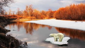 ледоход / Река Сучан, весенний пейзаж.........Приморье.