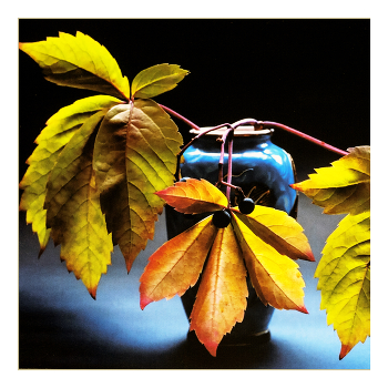 &nbsp; / Натюрморт