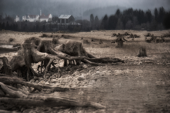  / Forggensee der Der im Winter/Frühling abgelassen wird.