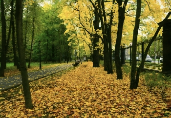 Скамейка / Осень