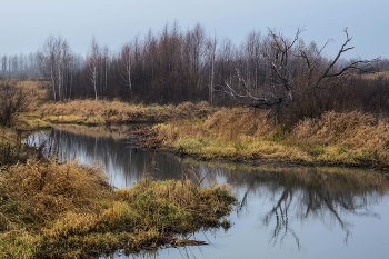 Ноябрьское утро / пригород Казани