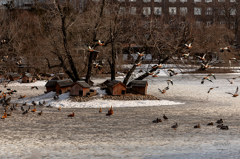 полёт / московский зоопарк