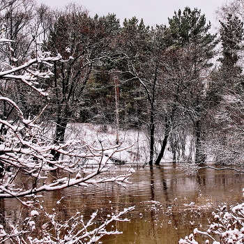 *Начало весны.** / Томская область.