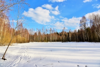 Вечерело ... / Вечерний этюд ...