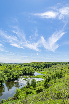небесные птицы / Анина гора