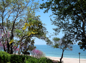 Около моря / море, пляж, весна