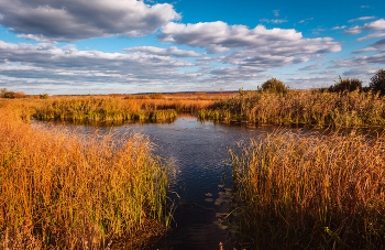 Осенняя заводь 2. / ...
