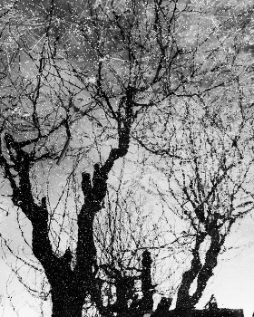 &nbsp; / апрель ,дачные зарисовки