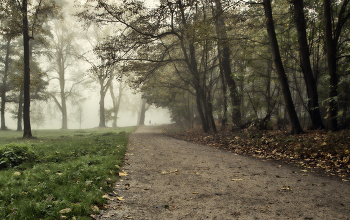 По парку / ***