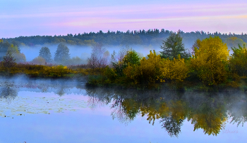 Осенний пейзаж. / Утро на озере Сосновое.