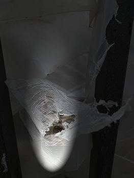 &nbsp; / Blinded by the light