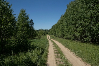 Дорога / дорога
