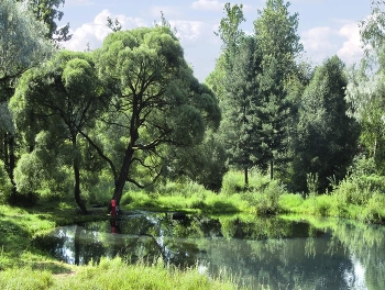 Иорданский пруд / в парке Лесотехнической академии