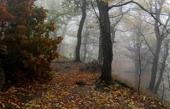 Кавказская осень.... / Железноводск. Октябрь