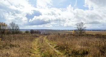 осенние зарисовки / Осень, Подмосковье