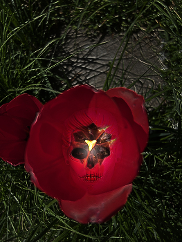 &nbsp; / like in a nightmare