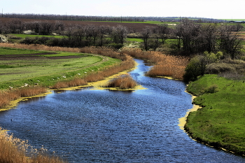 И река зацвела... / Весна, зеленеют берега, река