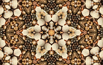 &nbsp; / Kaleidoscope effect on a bunch of scattered seashells