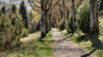 Солнечная аллея / Почти полдень