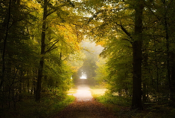 В туманной дымке / Осенний пейзаж.