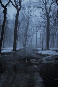 гуляя утром по парку / парк Гагарина,апрель,утро