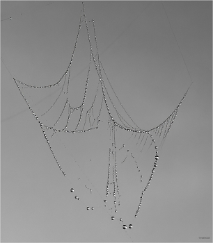 Хрупкое равновесие... / ...