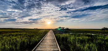 &nbsp; / Deck path to marsh