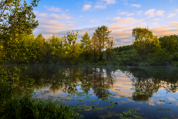 Утренний пейзаж. / Утренний пейзаж, озеро Рожок.