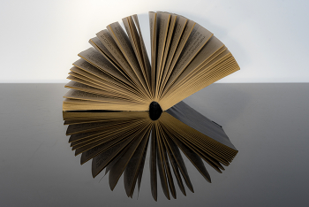 Раскрытая книга / натютморт