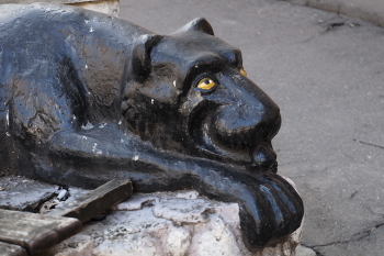 Черный кошка / Черный кошка