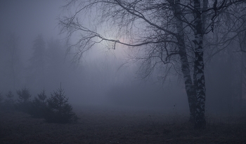 Ночной туман / Скоро утро