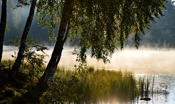 Утро у озера...... / Петербург. Юкки. Август