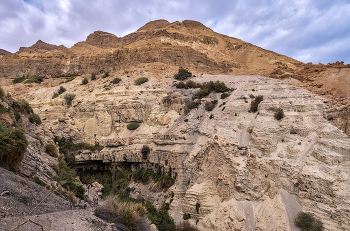 Оазис в пустыне / Ущелье Нахаль Давид (Wadi David) 
в долине Мертвого моря
