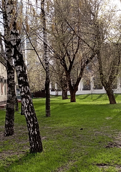 весна в моем городе / снято в парке Пресня