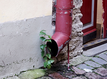 &nbsp; / ........................................