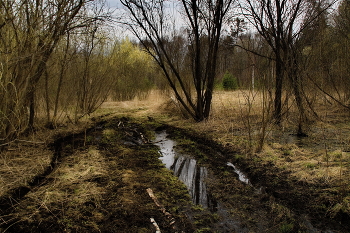 Весенняя дорога. / Томская область.