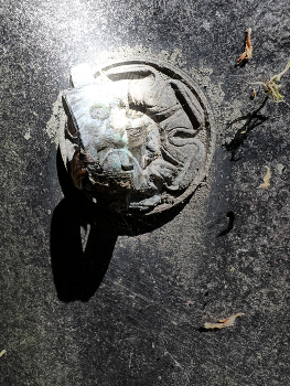 Du wirfst einen ziemlichen Schatten / Shadowplay