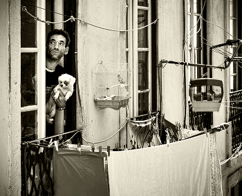 клетка / жанр