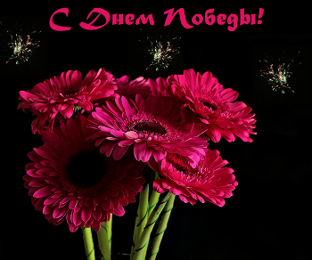 С днем великой Победы! / ***