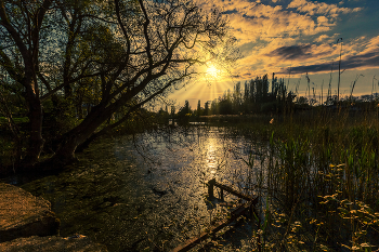 Вечер на озере / Крым