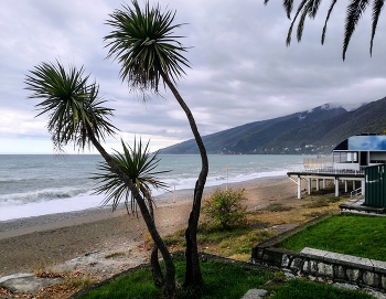 &nbsp; / Гагры. Осень.